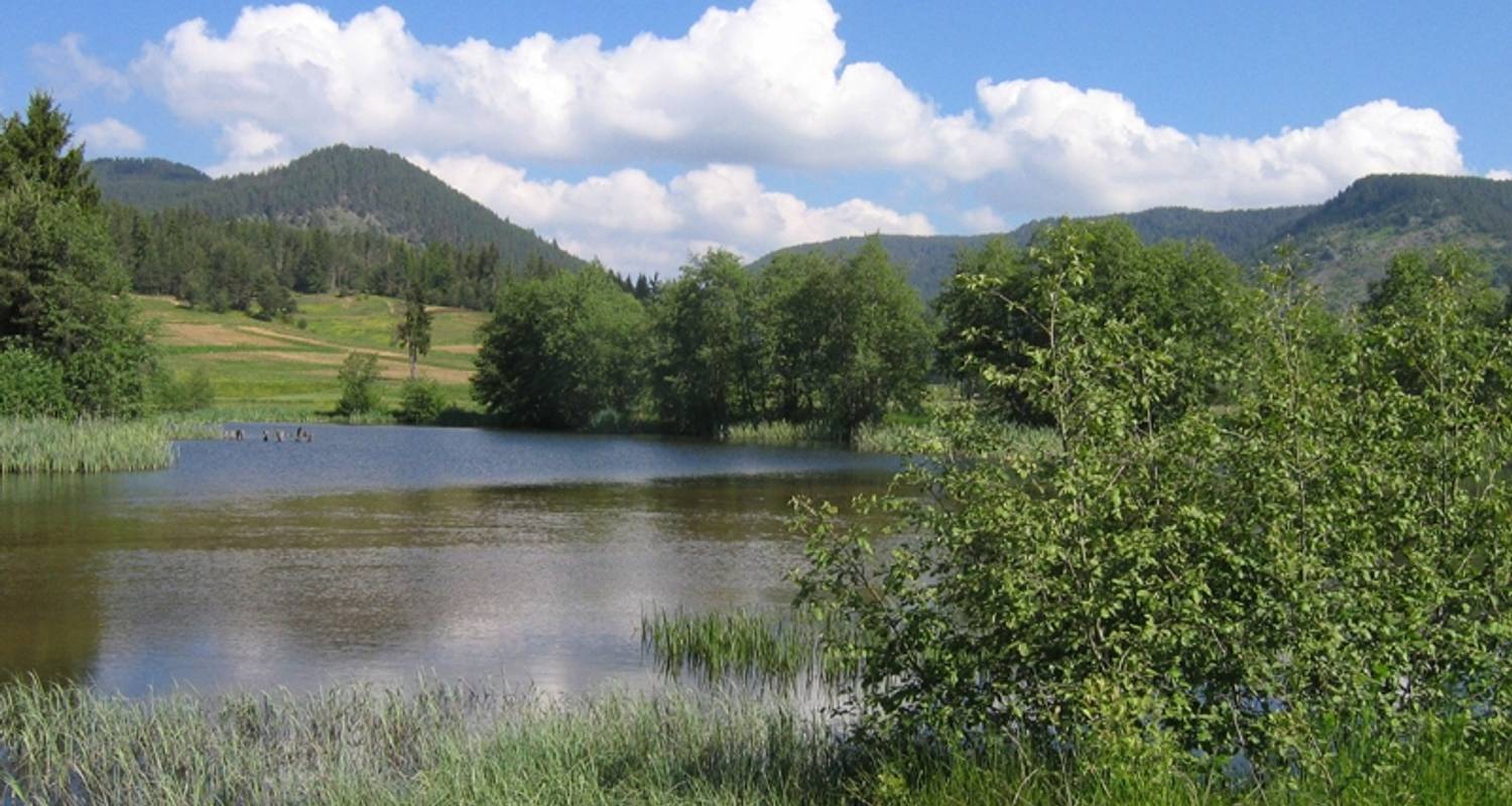 Bulgaria: Rodopi Mountains