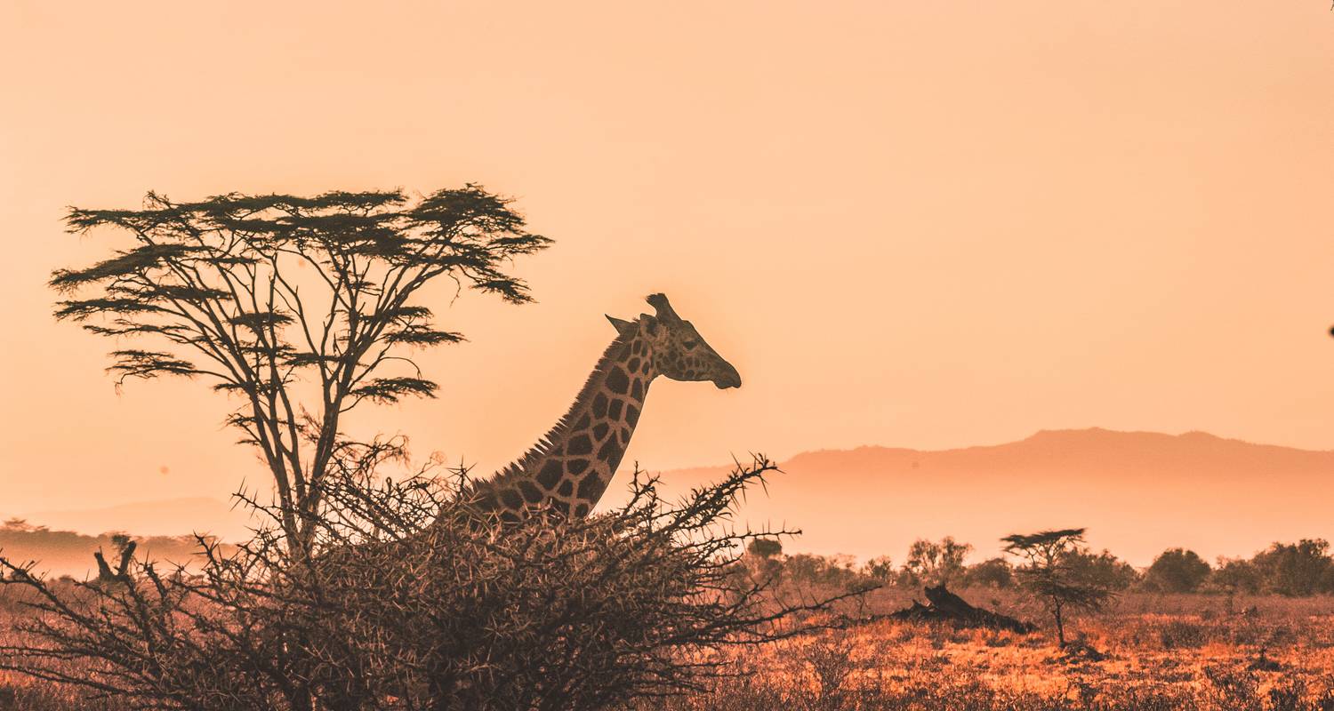 Southern Africa  Safari by Land & Water